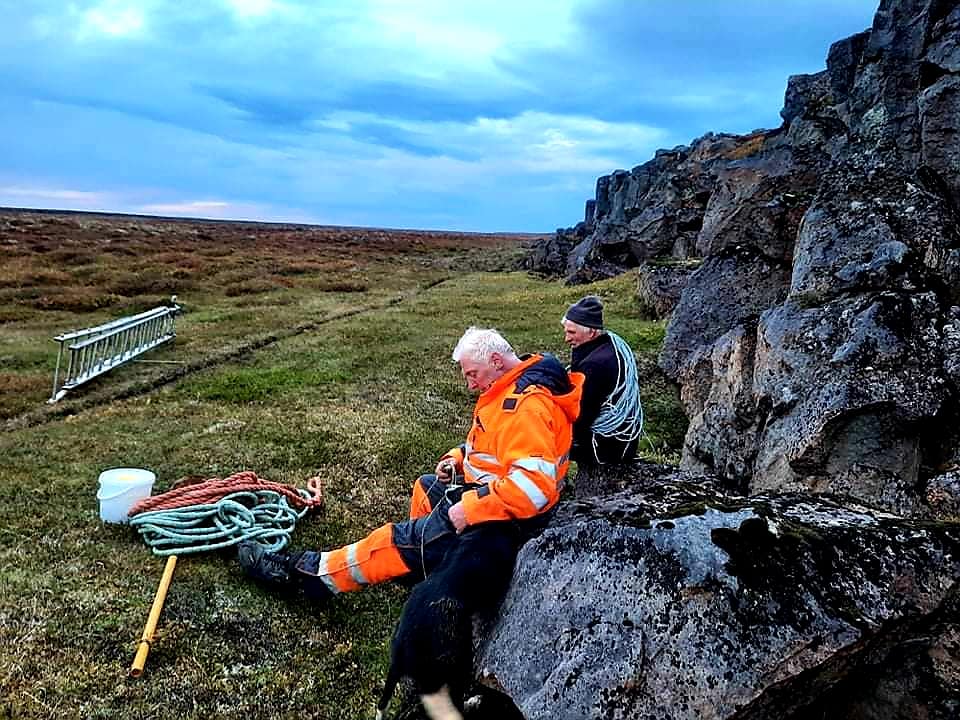 Sheepdog Tímon Rescued From Ravine