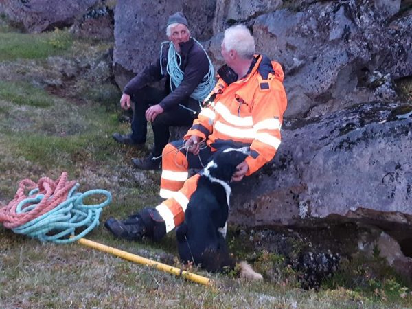dog rescue