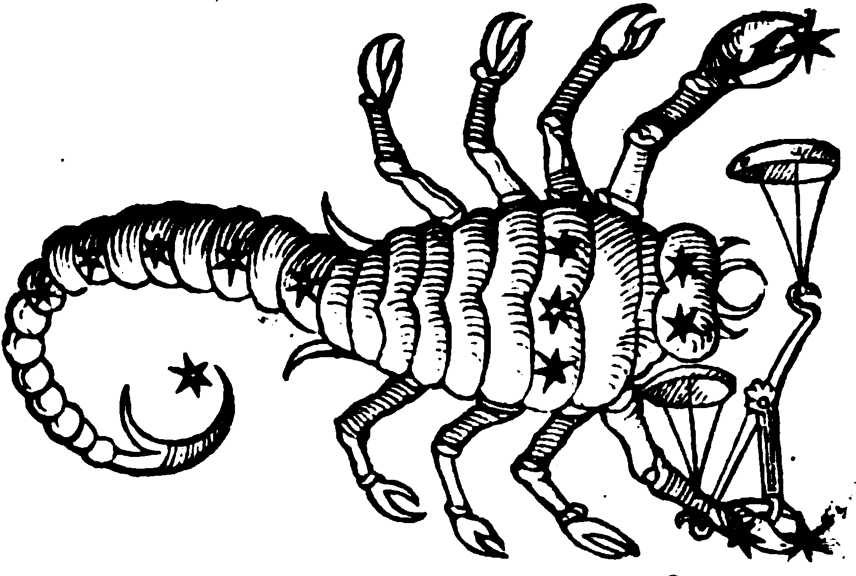 Horror-Scopes: We Get It, Scorpio You Love Halloween