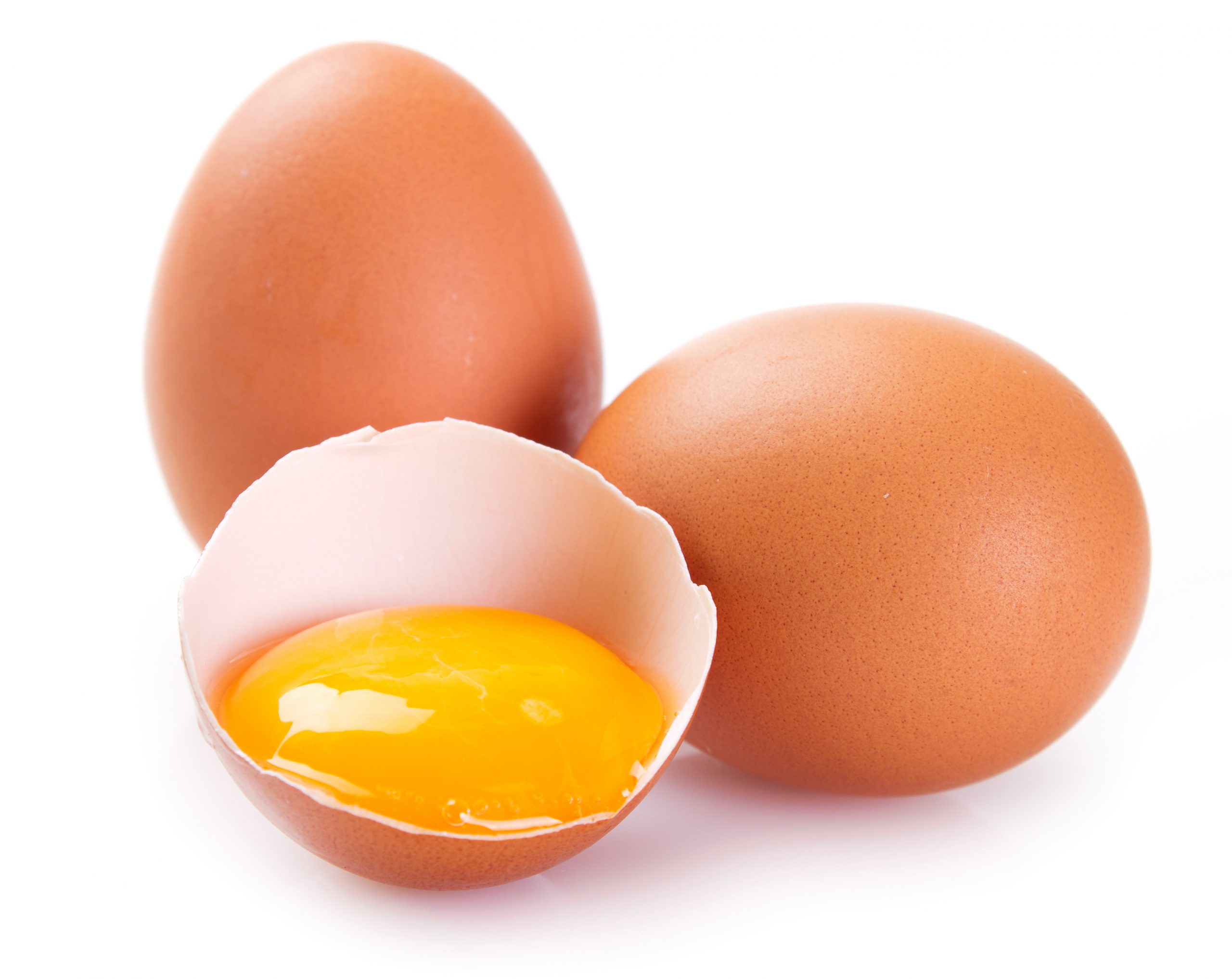 Just Sayings: “Að lifa eins og blóm í eggi”