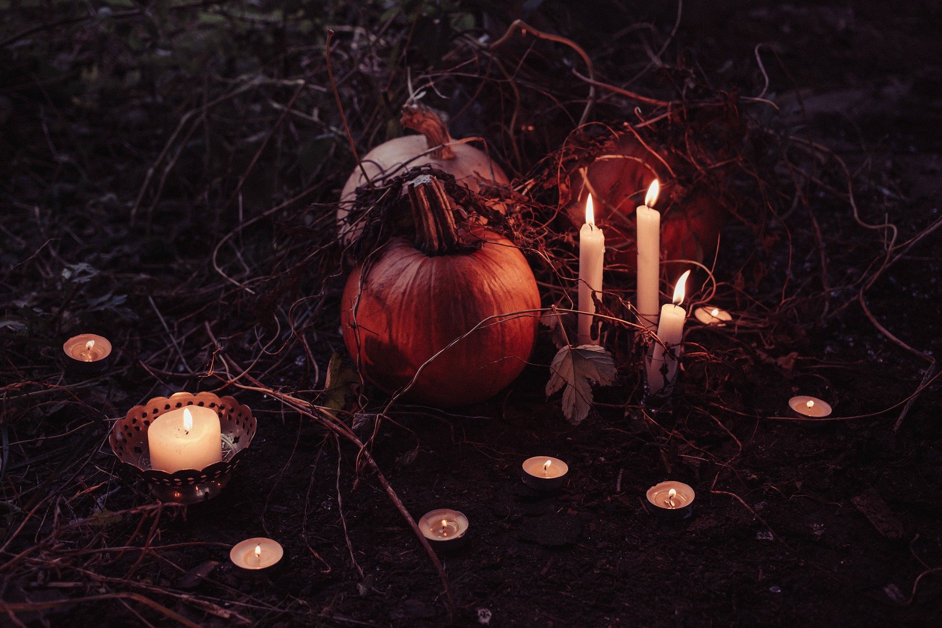 Horror-Scopes: The Autumn Fog Reveals Your Fate