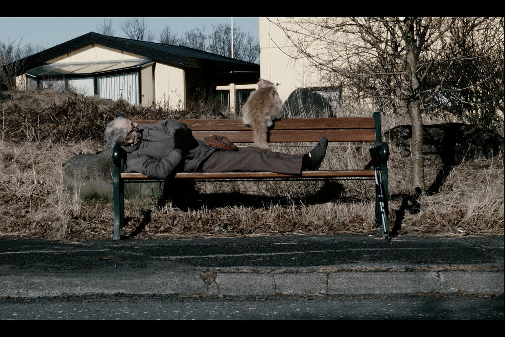 A Half-Elvish Film Festival: The Skjaldborg Film Festival Reviewed