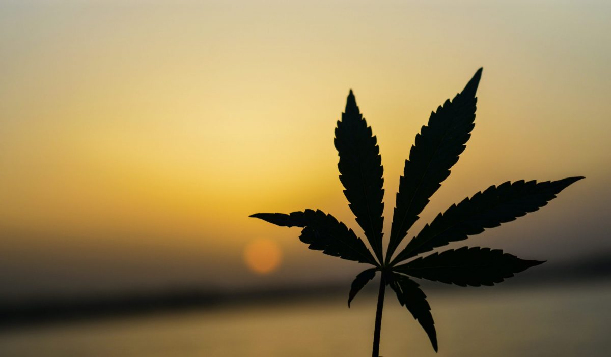 Icelandic Government Proposes Drug Decriminalisation