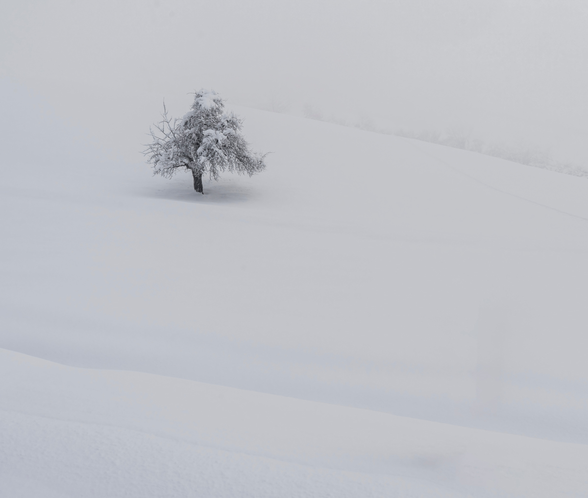 Boy Alerts Village To Avalanche Danger
