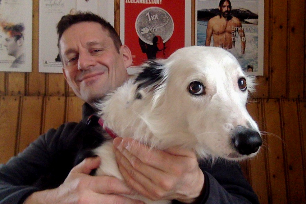 Animal Earthquake Anxiety: How To Reduce Doggy Distress