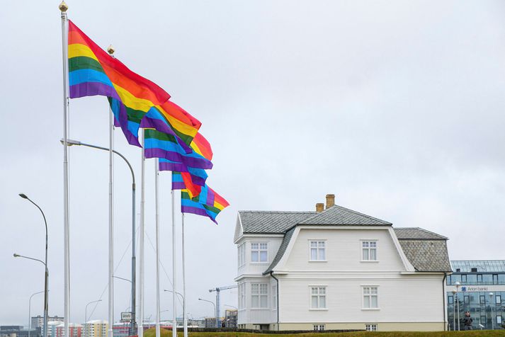 Pride Flags Raised Across Reykjavík