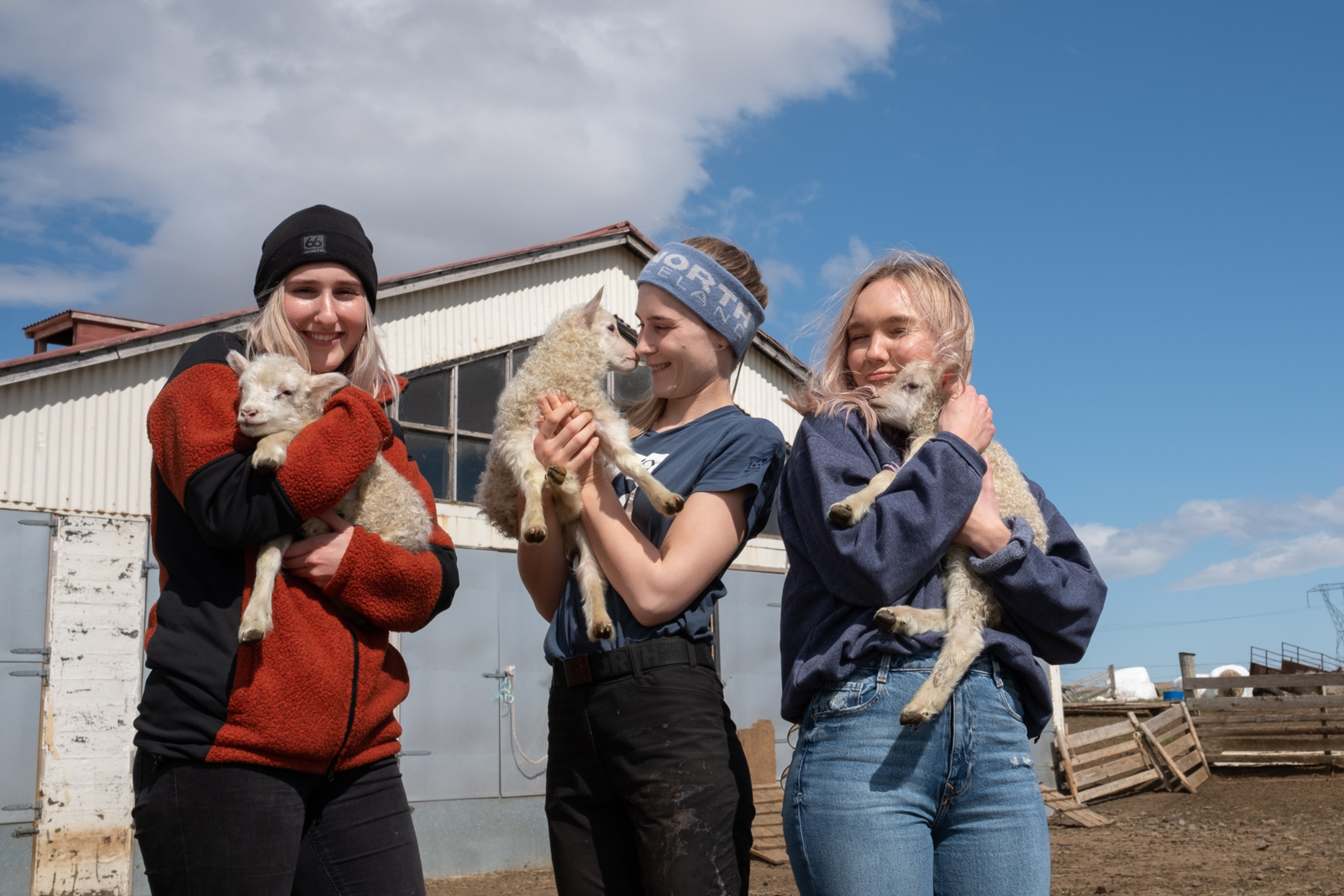 A Day In The Life Of Icelandic Instagram Sheep Farmer Pálína Axelsdóttir Njarðvík