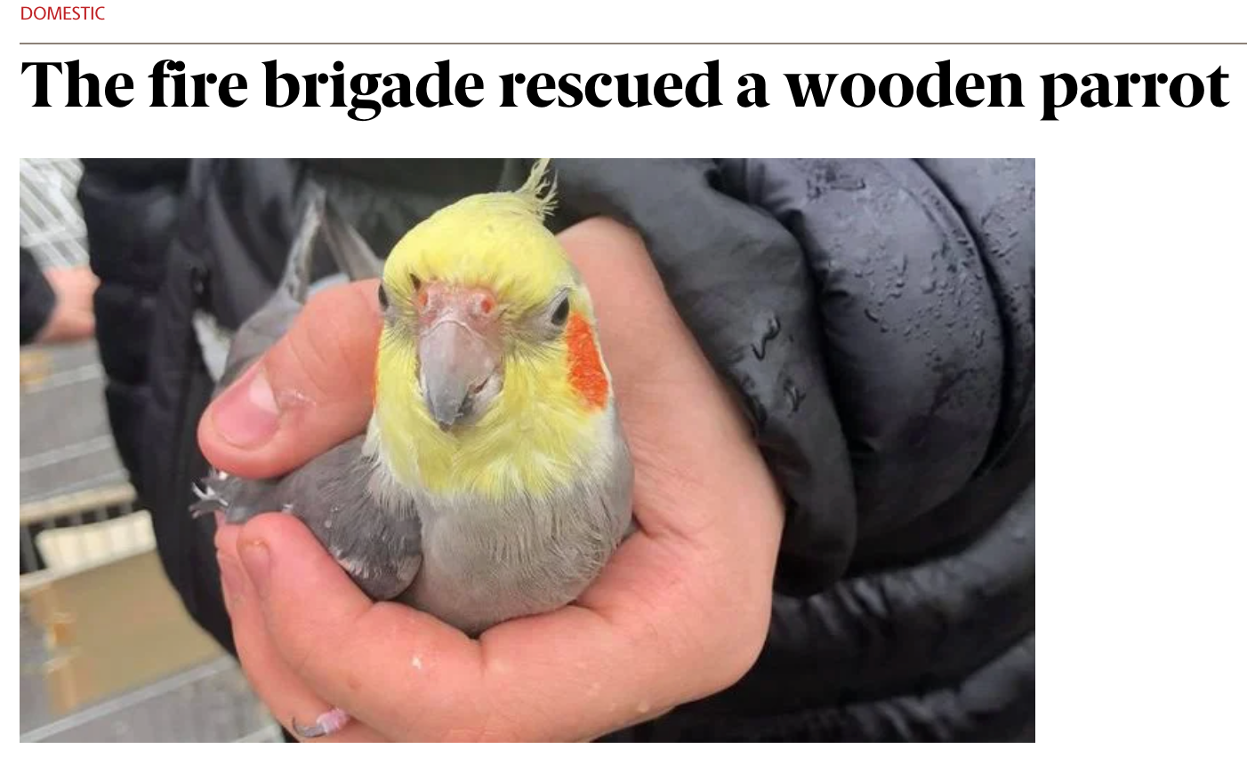 Lost in Google Translation: Iceland Saves All Animals, Real or Not