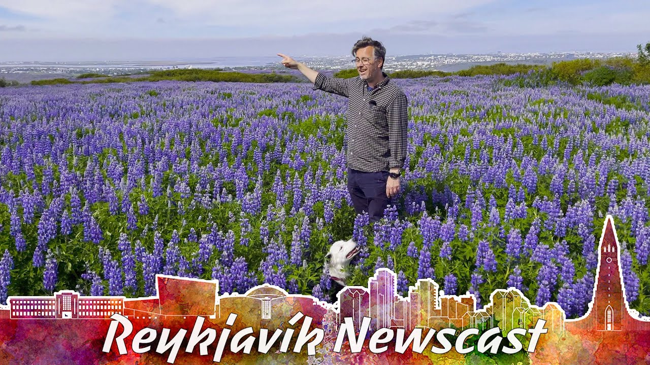 RVK Newscast #113: Siggi The Hacker, Wikileaks And The Lost American