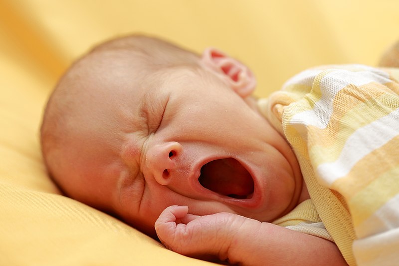 11 New Icelanders Born Over Christmas