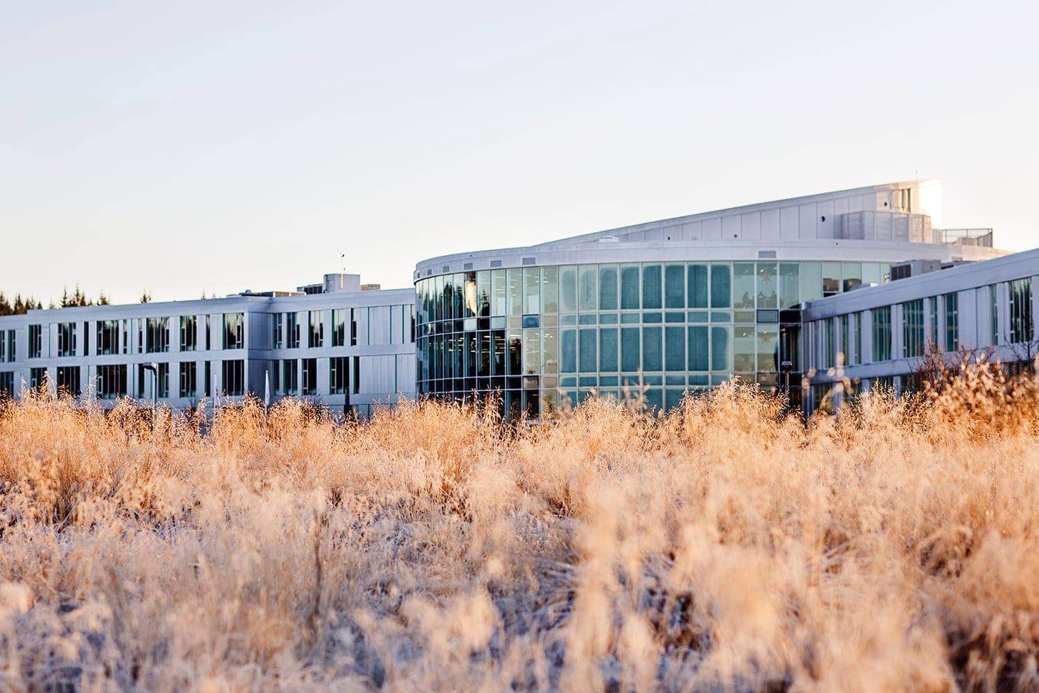Hackers Set Sights On Reykjavík University