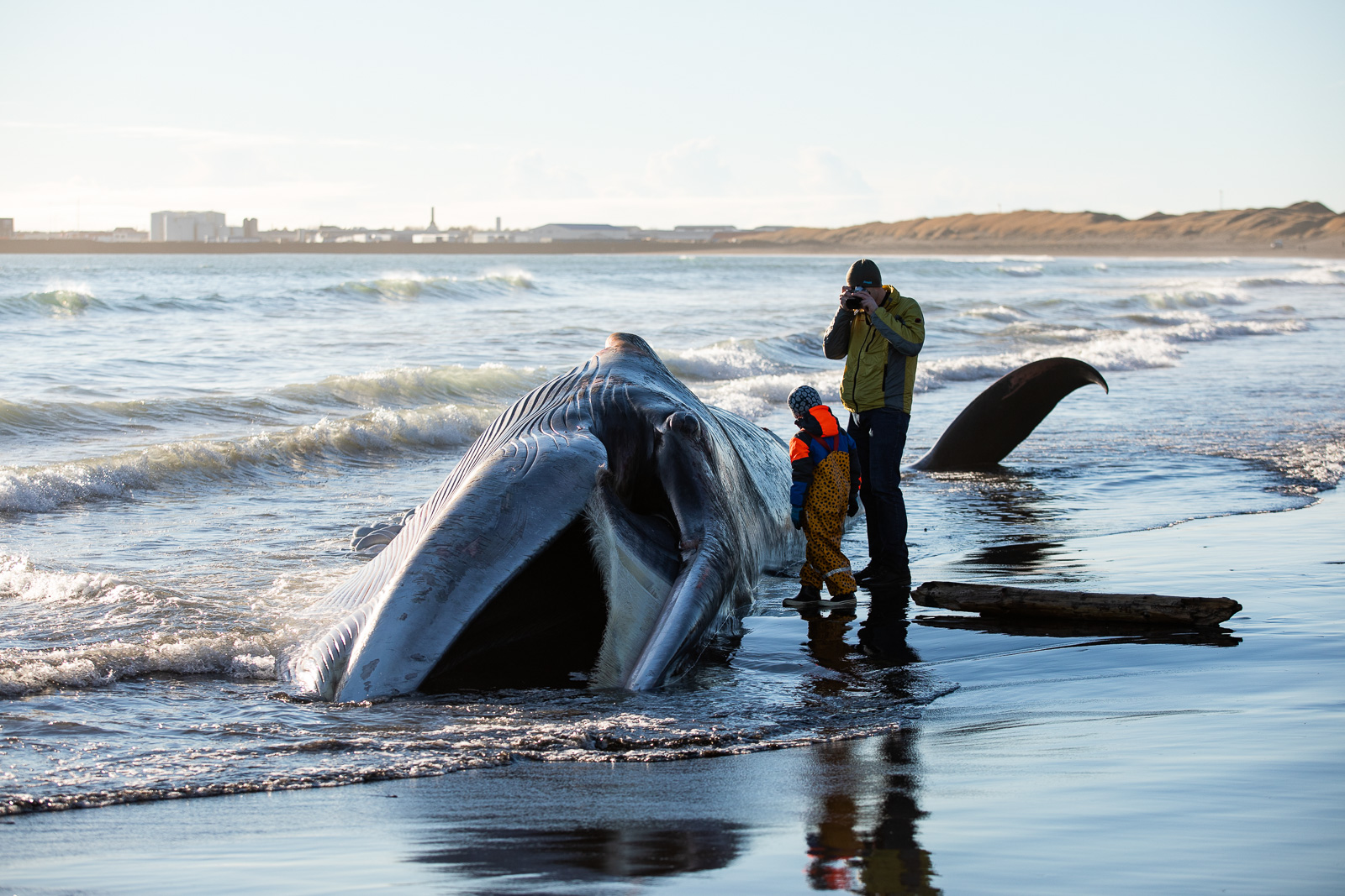 What Are Icelanders Talking About? – All The Headlines That Nobody Reads Further Than