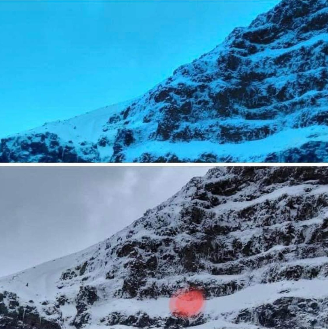Dog Missing For 20 Days Found On Mountainside, Rescued, And Reunited With Owners