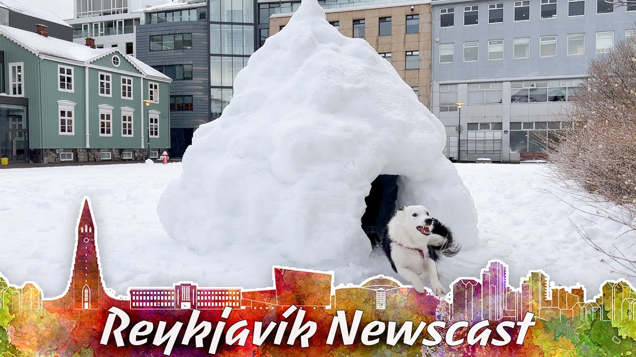 RVK Newscast 165: Icelandic Gun Crime
