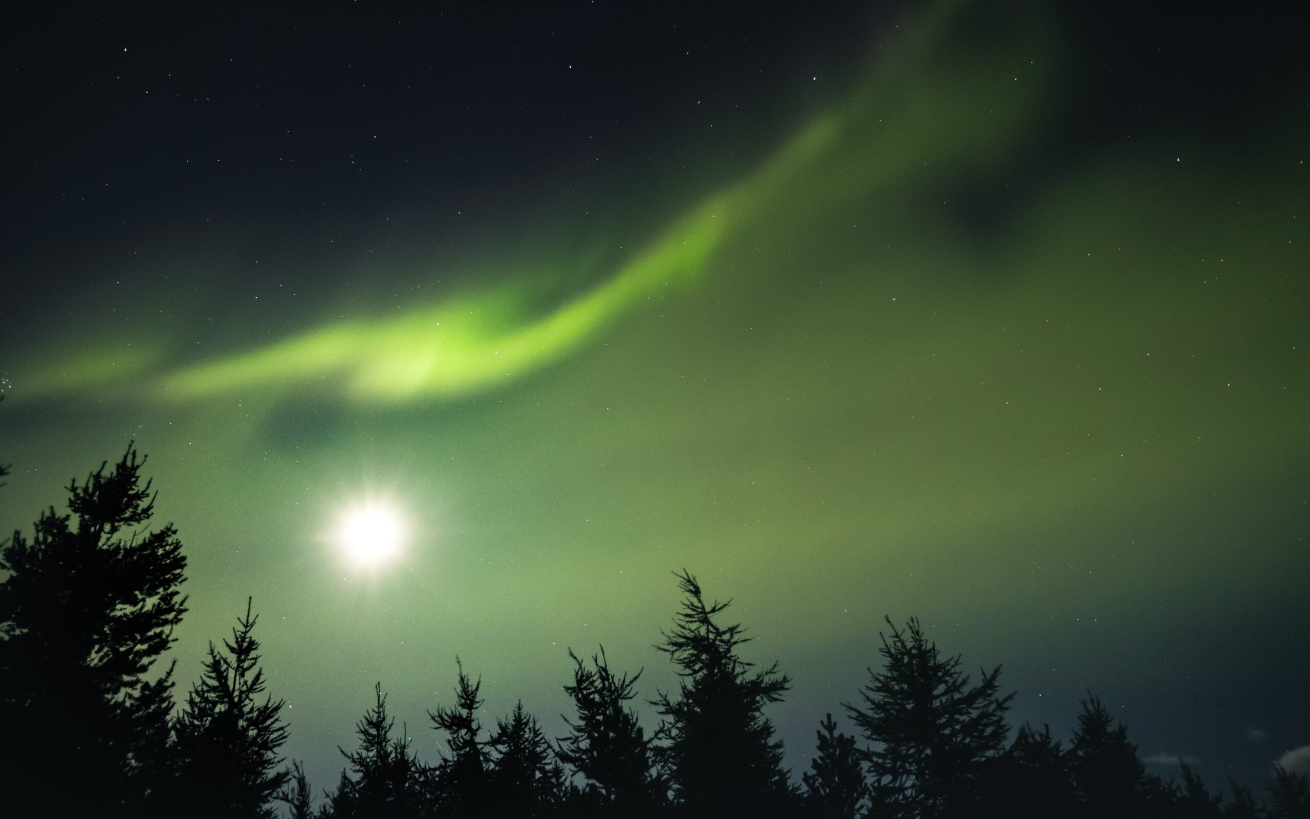 Over 2% Of Iceland Is Forest
