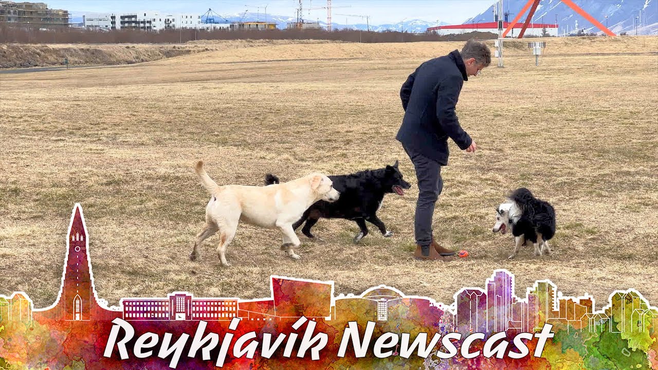 RVK Newscast 178: Union Leader Fires Her Entire Staff