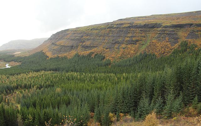 Annual Forest Inventory Commences