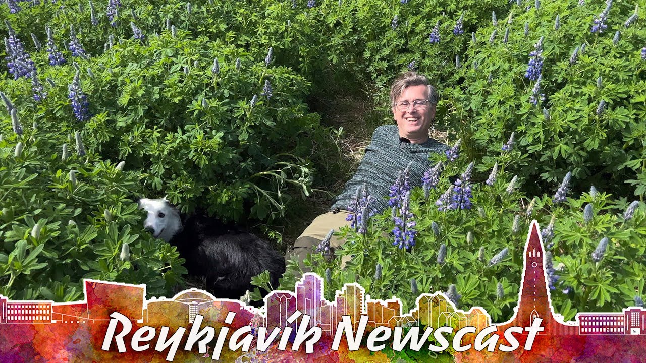 RVK Newscast 189: Huge Drug Bust