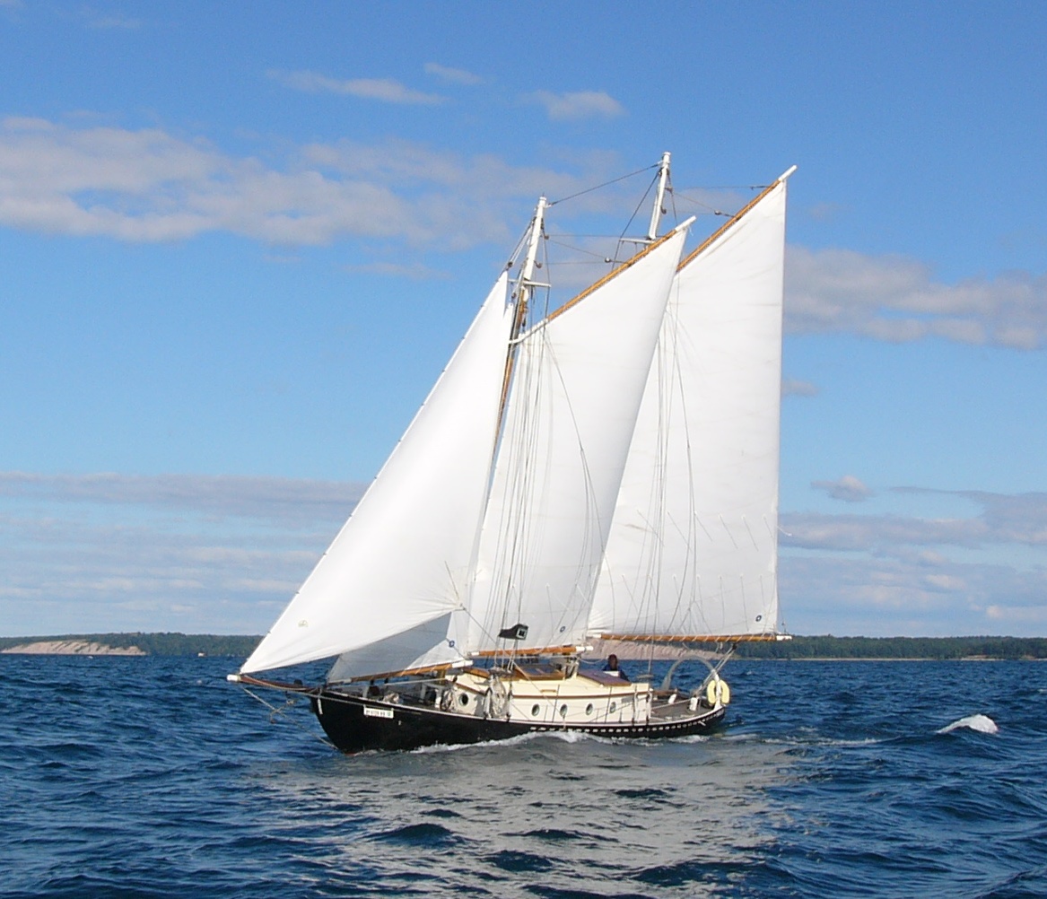 25 International Sailing Race Participants Stranded in Eastfjords