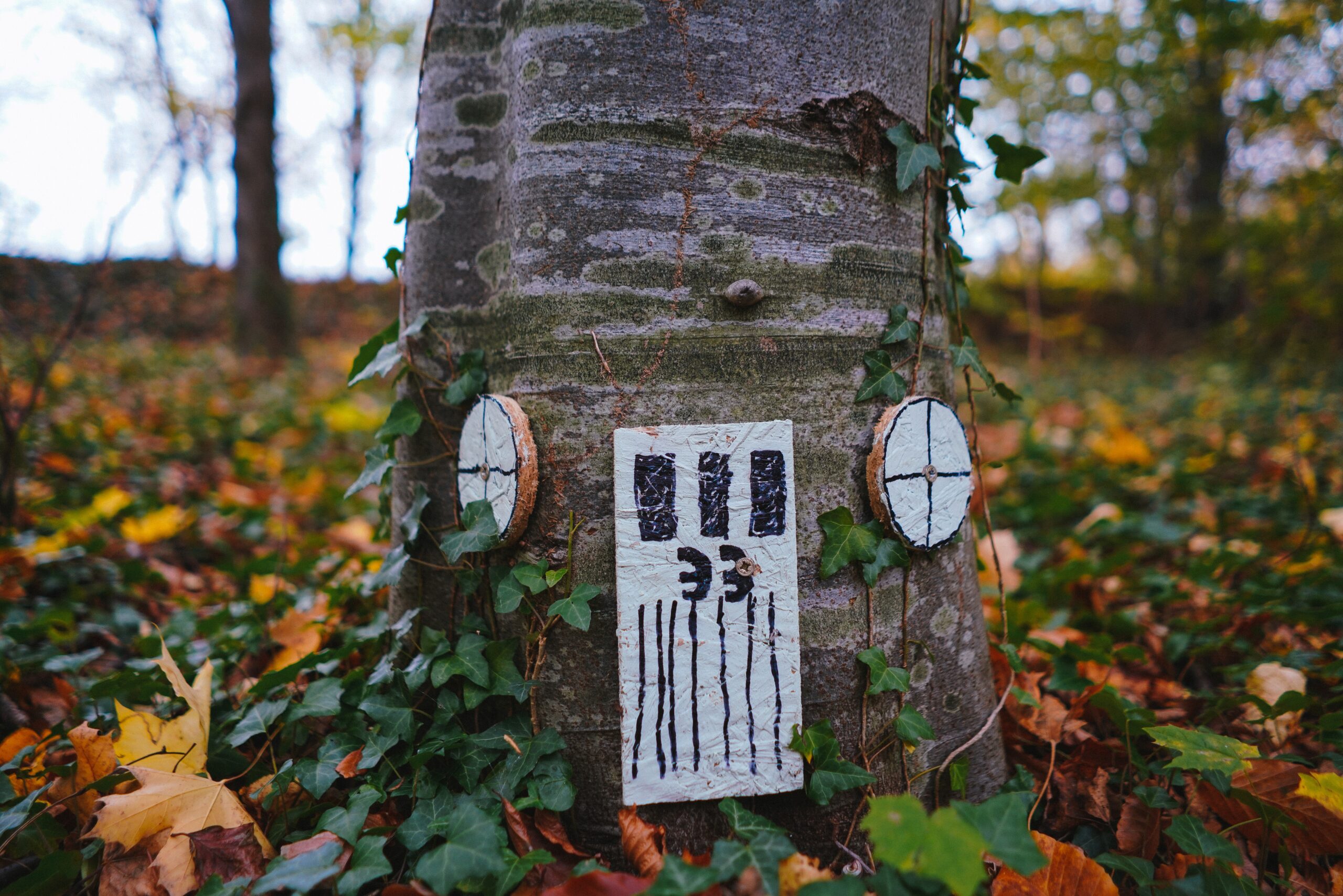 One Third Of Icelanders Reportedly Believe In Elves