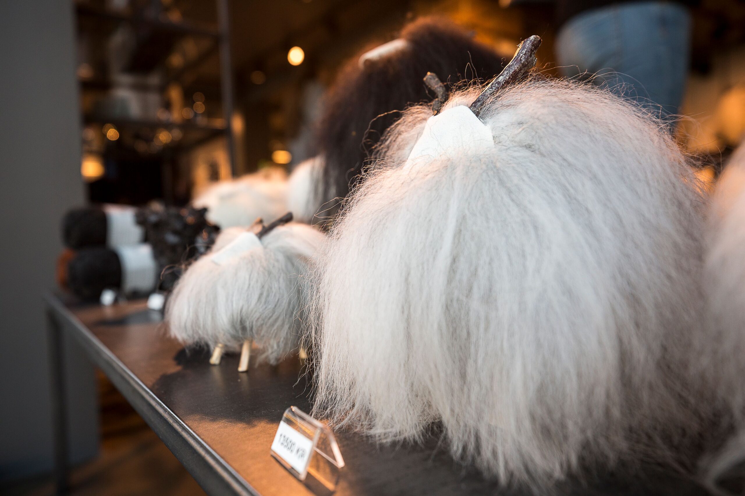 Best Of Reykjavík Shopping 2022: Best Design Store