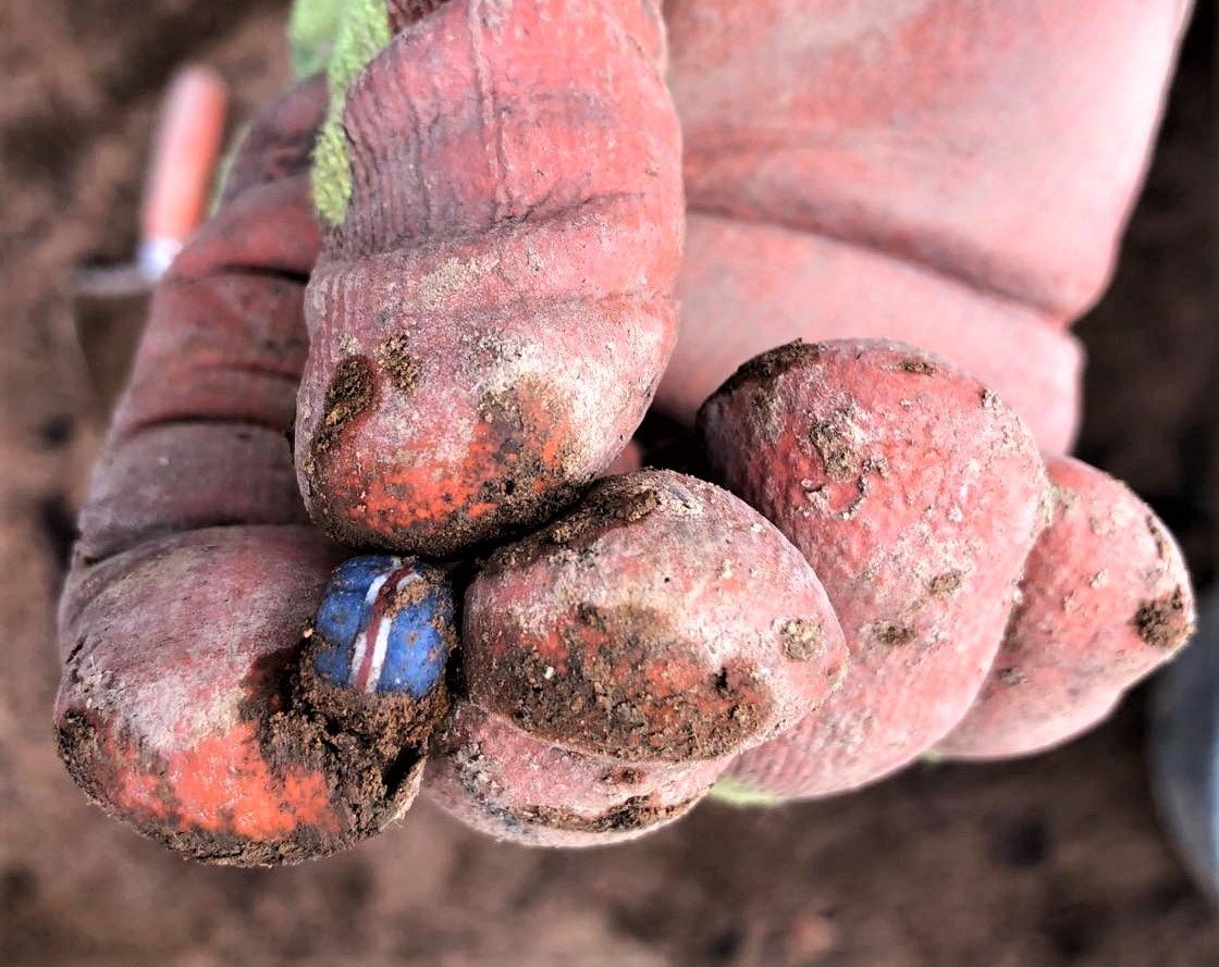 Flag-Coloured Pearl Found At Archaeological Dig