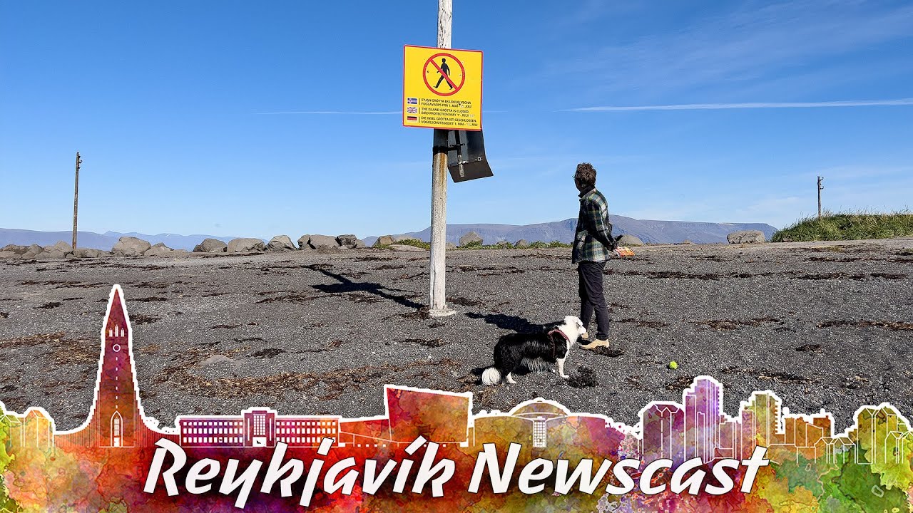 RVK Newscast 211: Swimming With Whales