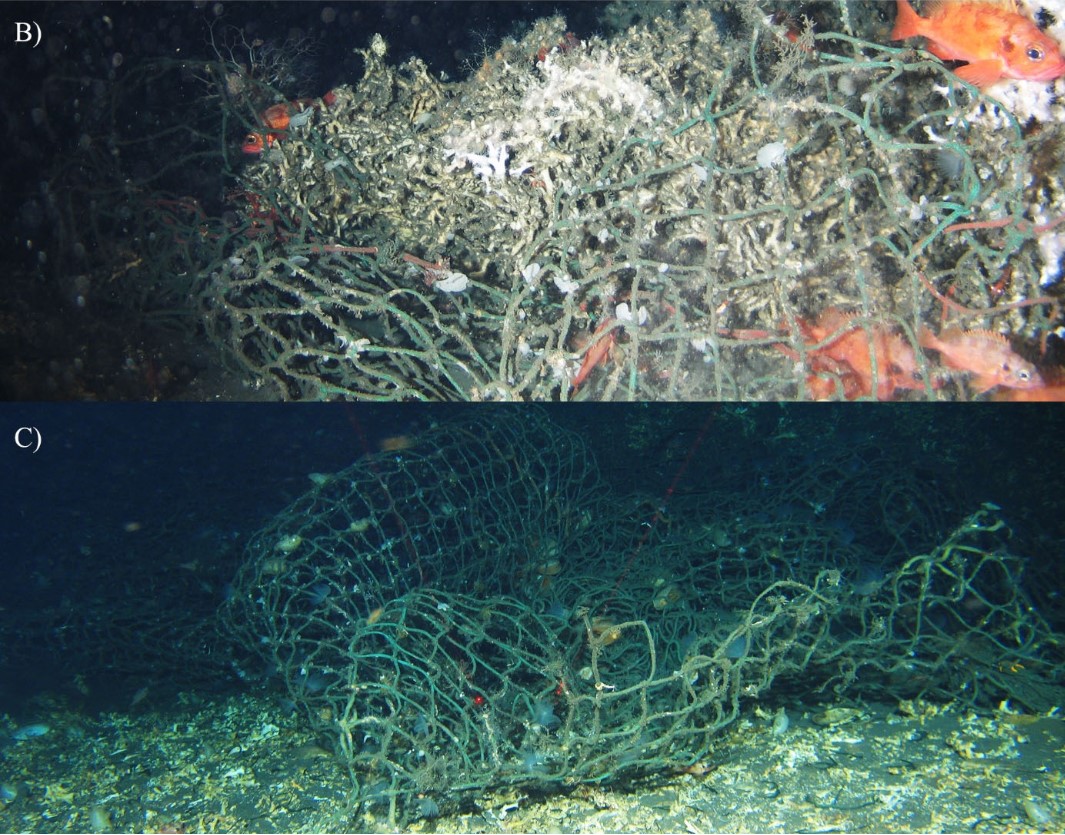 Garbage Piling Up On Sea Floor Of Icelandic Waters, Report Says