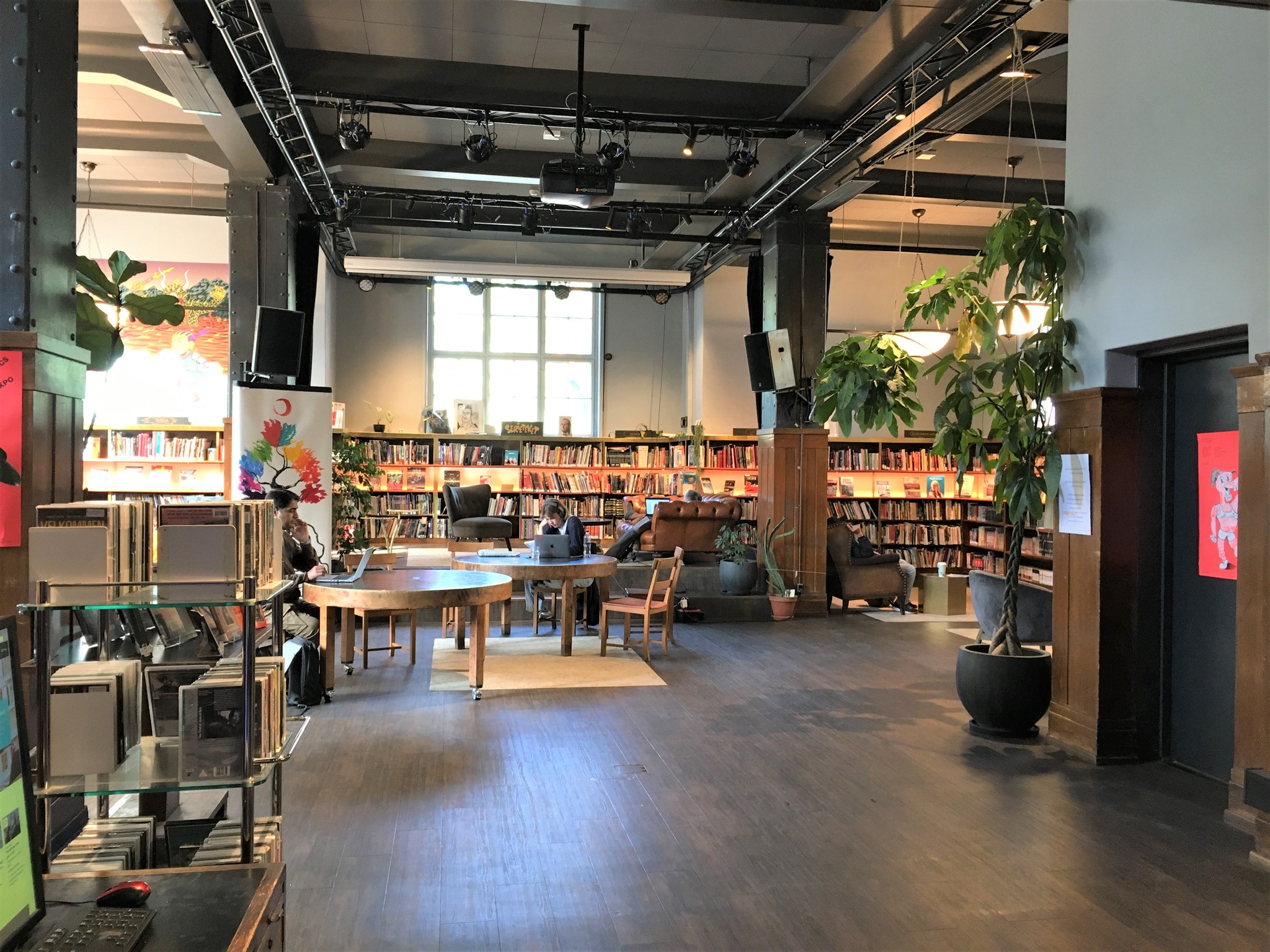 Inside Reykjavík’s Best Libraries