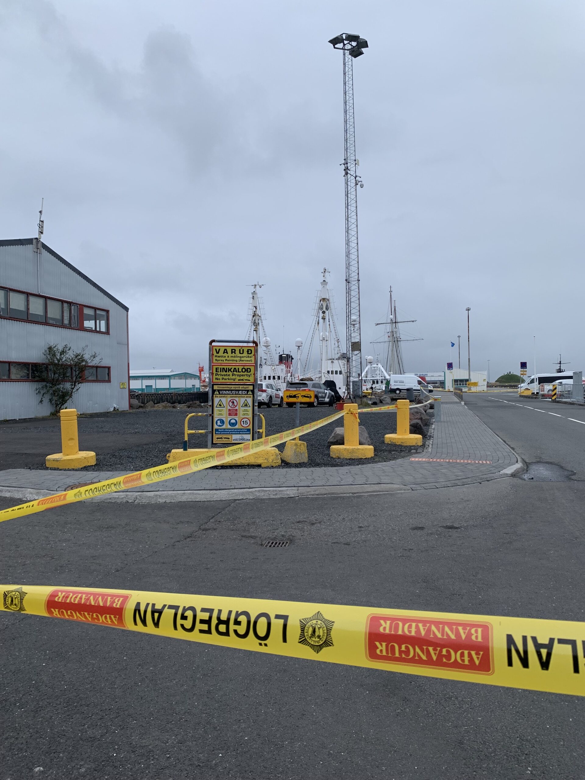 Two Protesters Chained To Whaling Ships