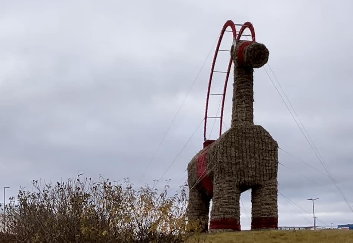 IKEA Goat Is Up And Ready To Be Burned