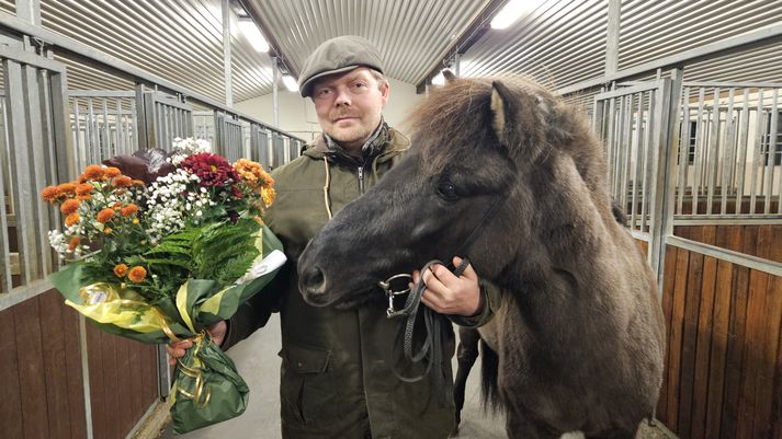 Famous Icelandic Horse Celebrates 25th Birthday