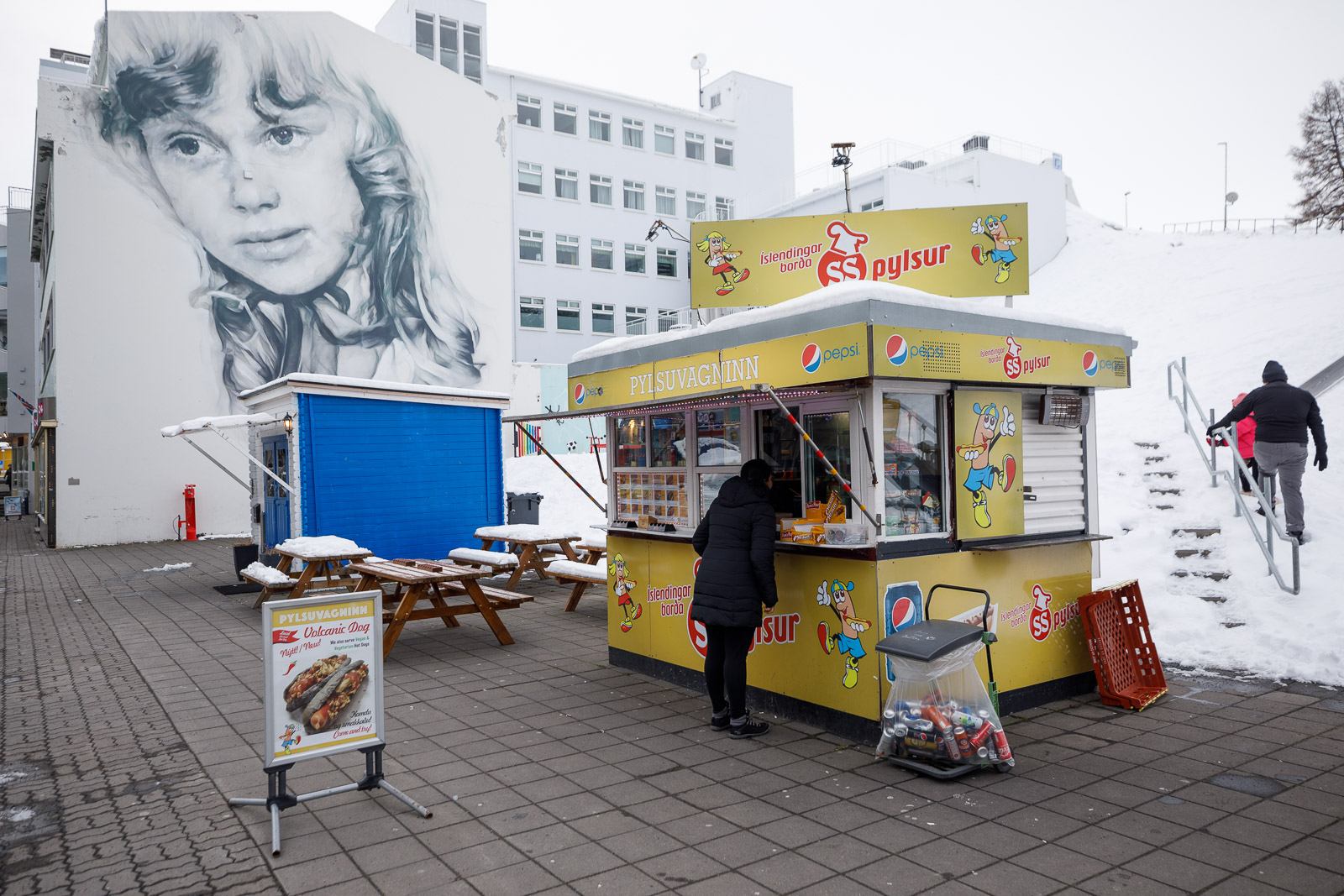 This Is Not A Drill: Vegan Hot Dogs In Akureyri