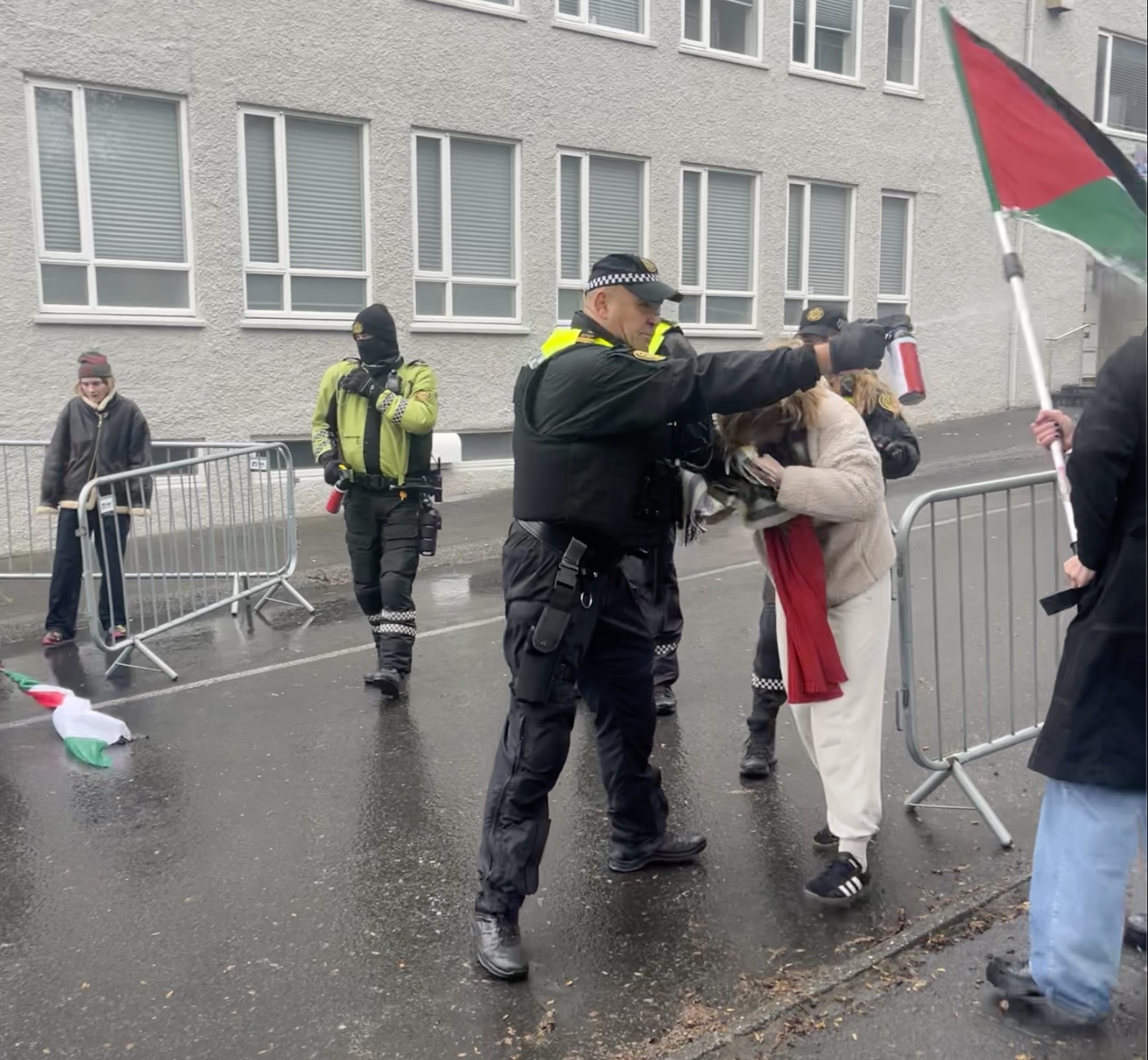 Police Use Force, Pepper Spray On Pro-Palestine Protesters