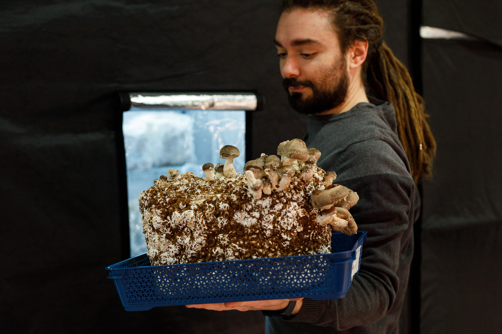 From Farm To Plate: Rækta’s Mushrooms And Microgreens