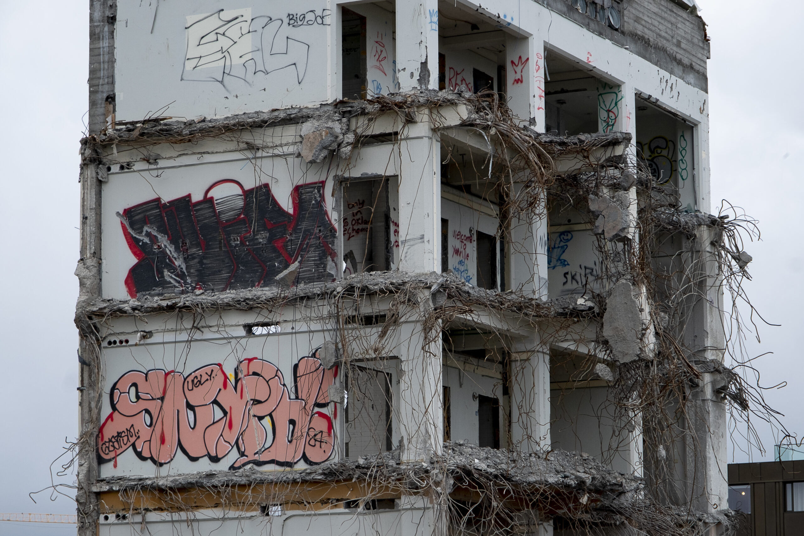 Help? Call Charlie! Phone Addicts, Housing, Eurovision, Immigrant Workers & More
