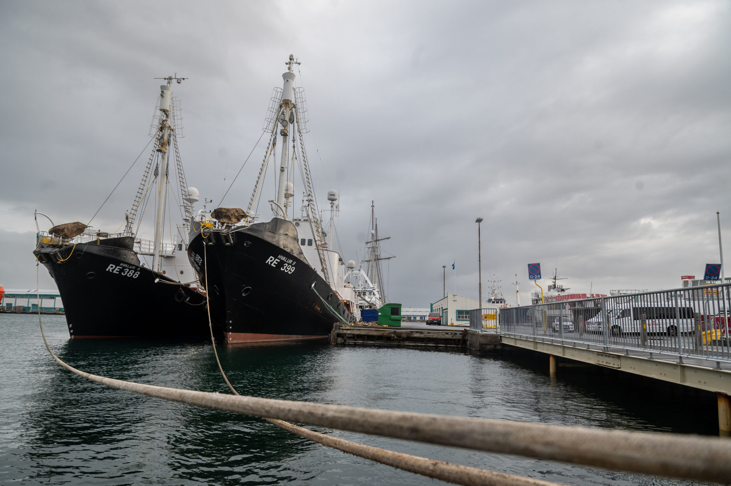 Unpacking The Arrest Of Anti-Whaling Icon Paul Watson In Greenland