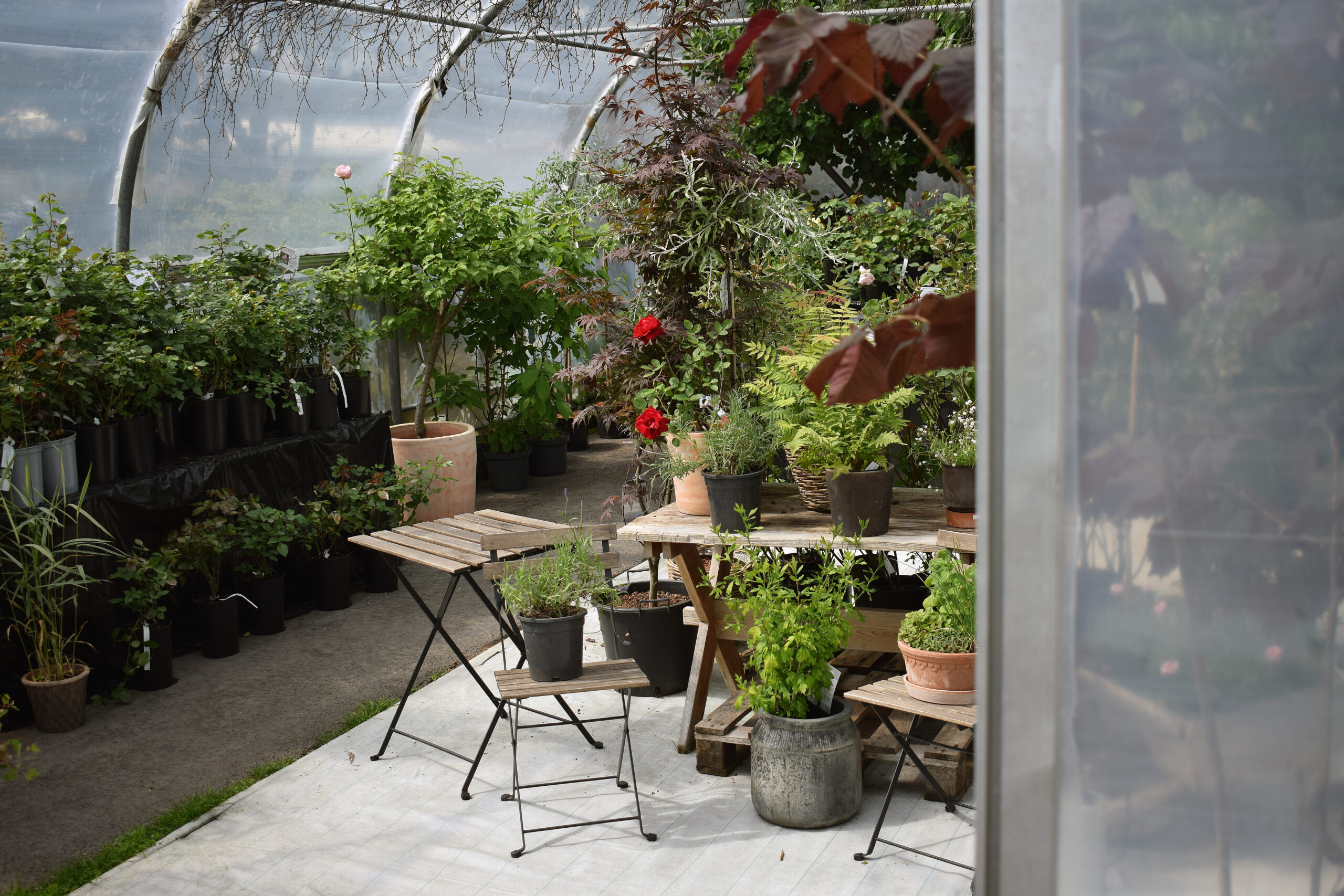 A Day Trip To Hveragerði, Southwest Iceland’s Garden Oasis