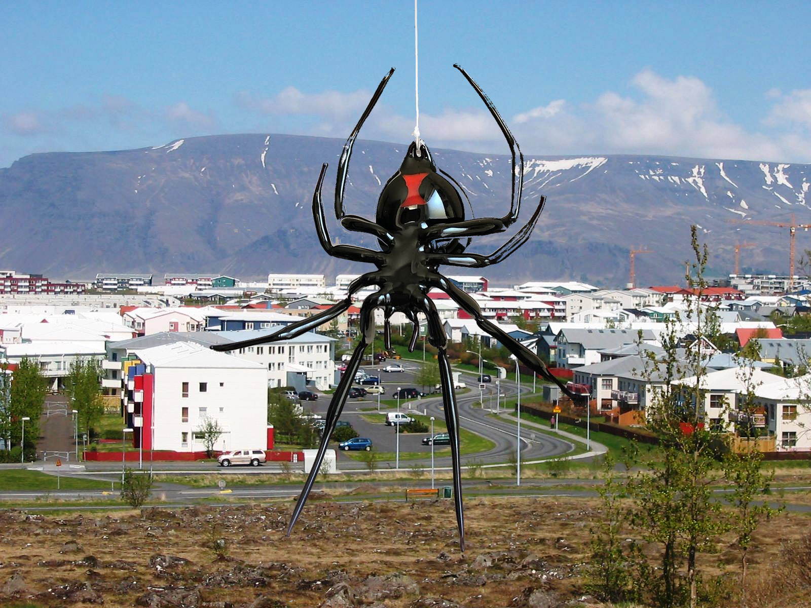 Grafarvogur Is Not Iceland’s Black Widow Capital — It’s Garðabær