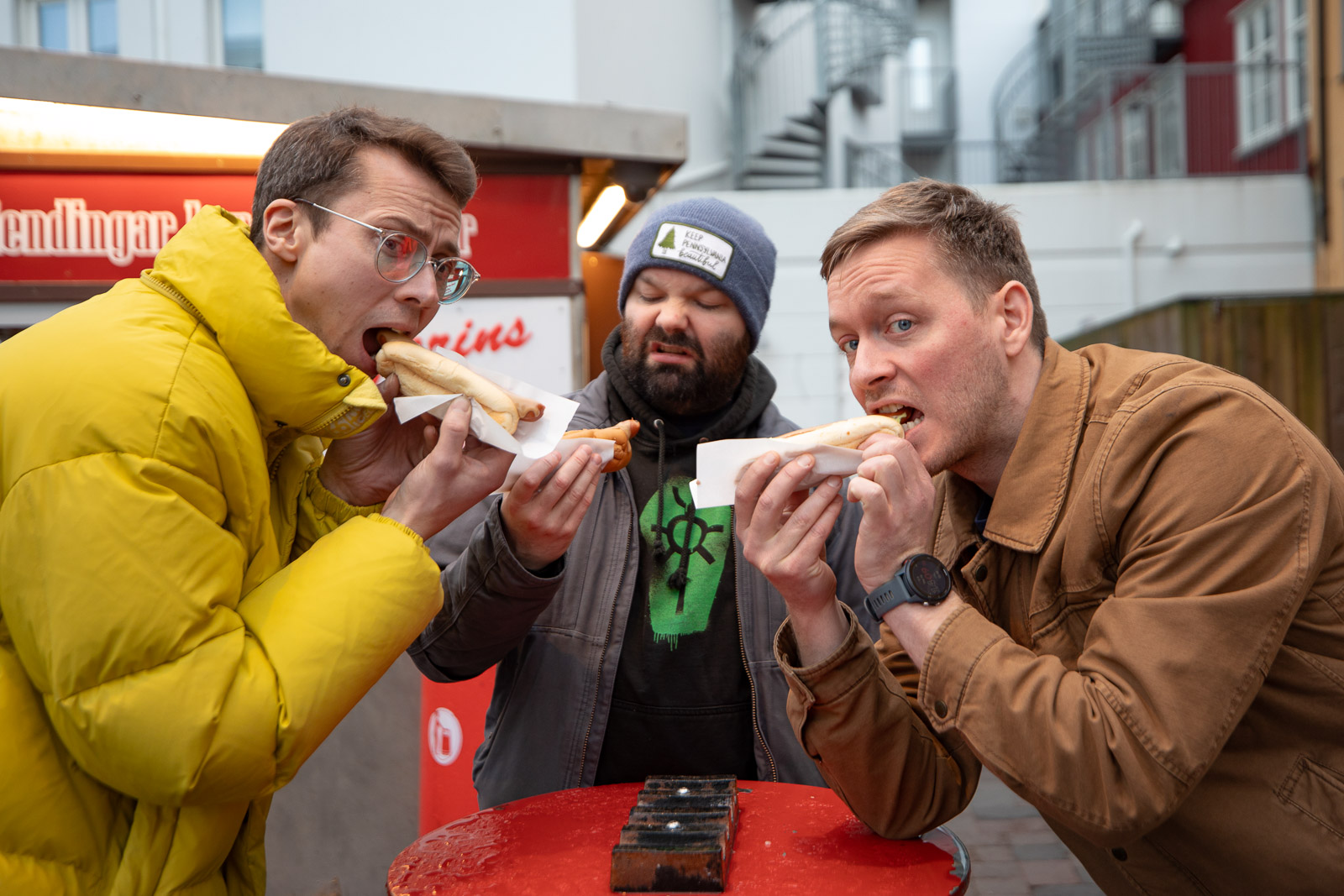 Iceland Roundup: Cream Buns, Horse & Tooth, Sugar Tax, Slow News Week, “Colonised By Immigrants”