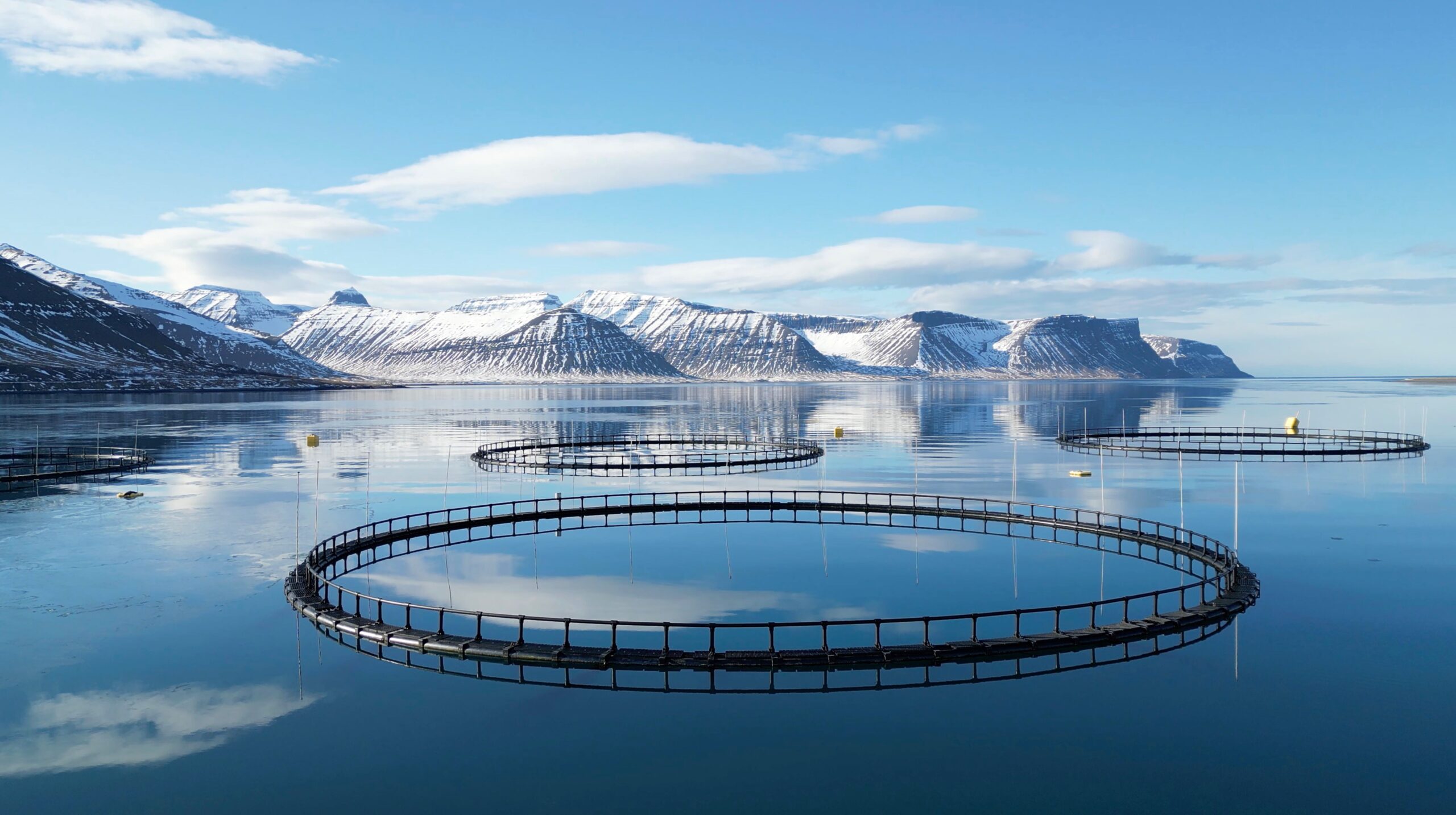 13.000 People Opposed To Fish Farm In Seyðisfjörður