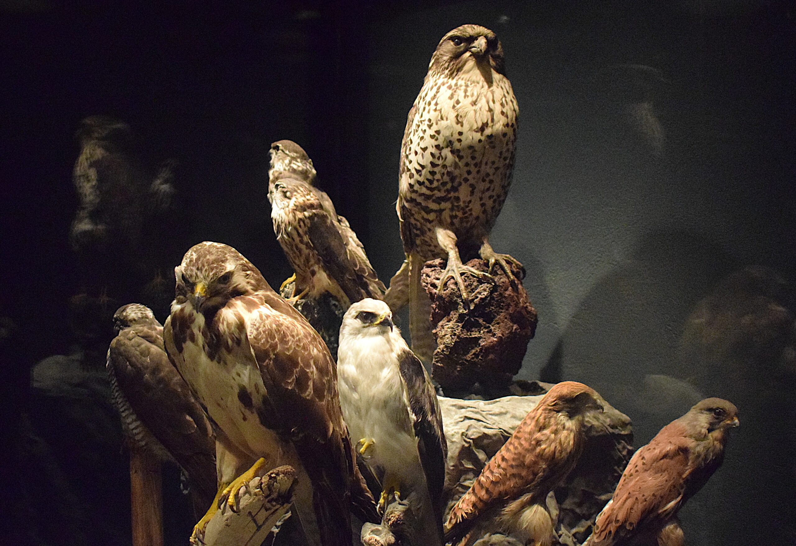 A Bird On A Stand Is Worth Two In The Bush