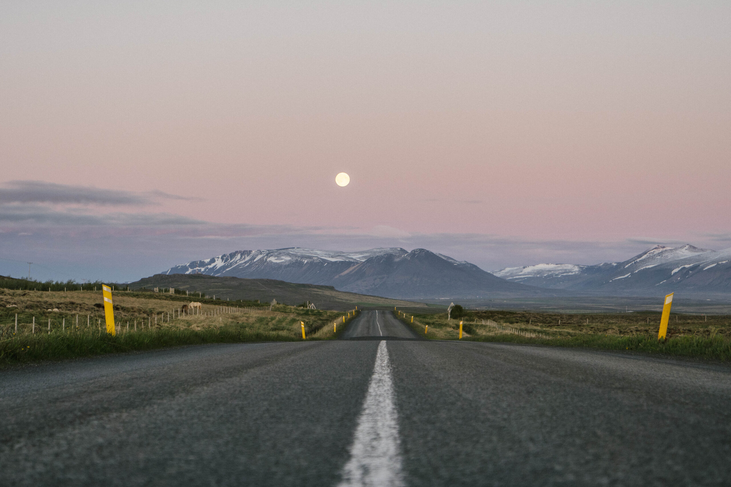 summer photo of iceland's ring road