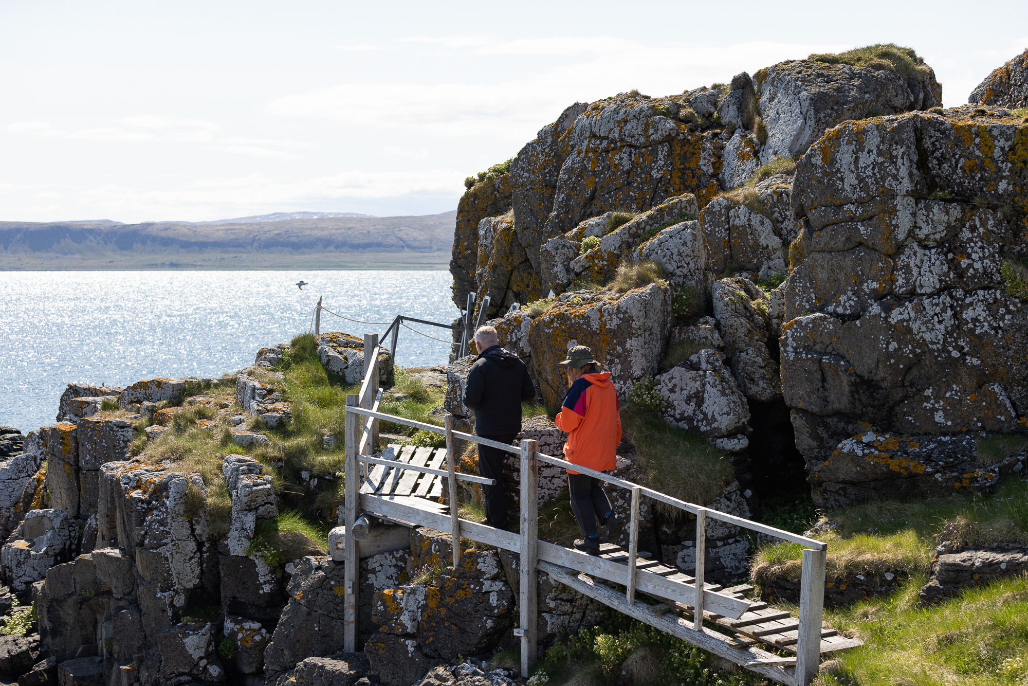 Lesser-Known Bird Paradise: Cosplaying David Attenborough At Grímsey