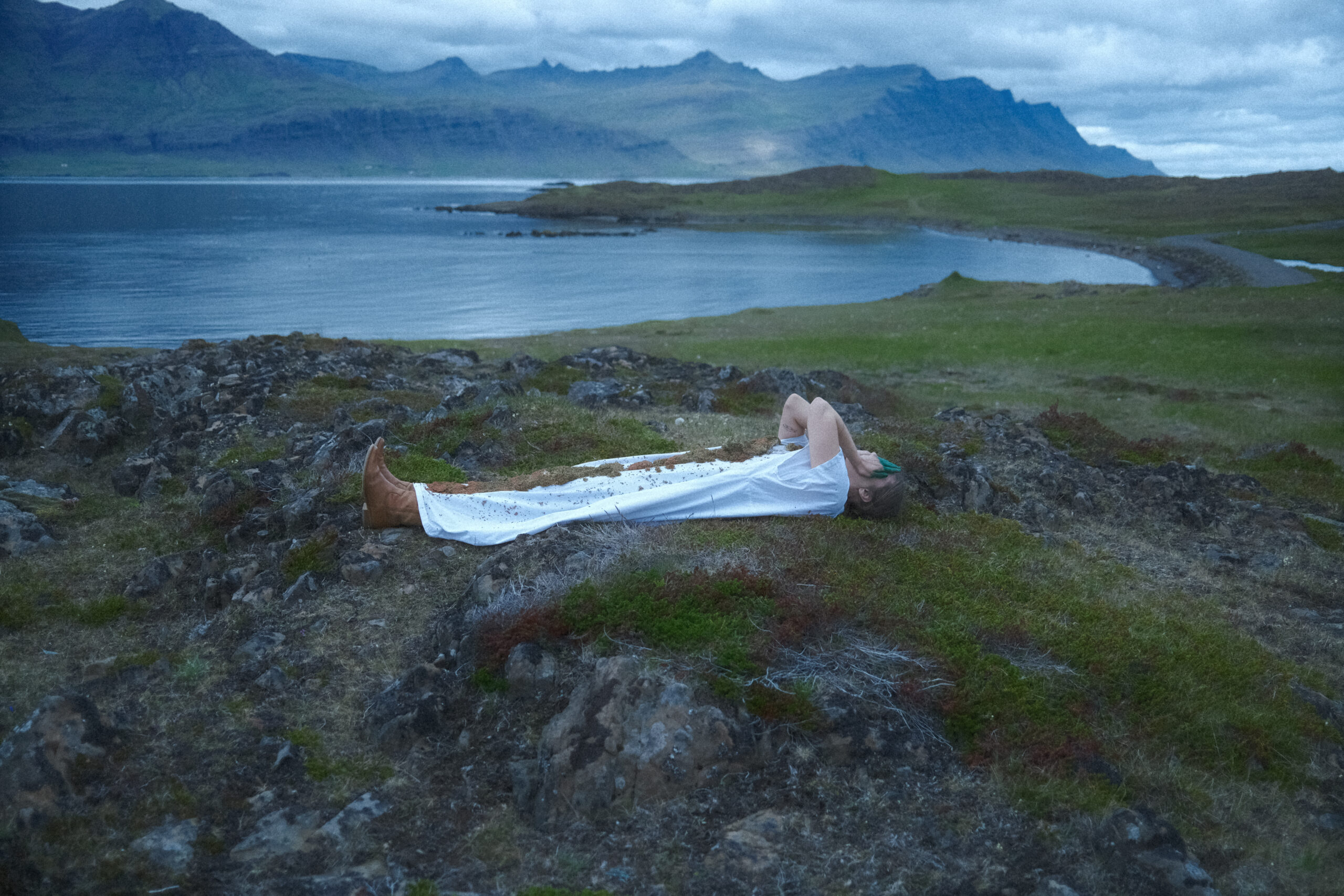 What Might Grow: ‘In The Undergrowth’ Rethinks Our Relationship To Nature