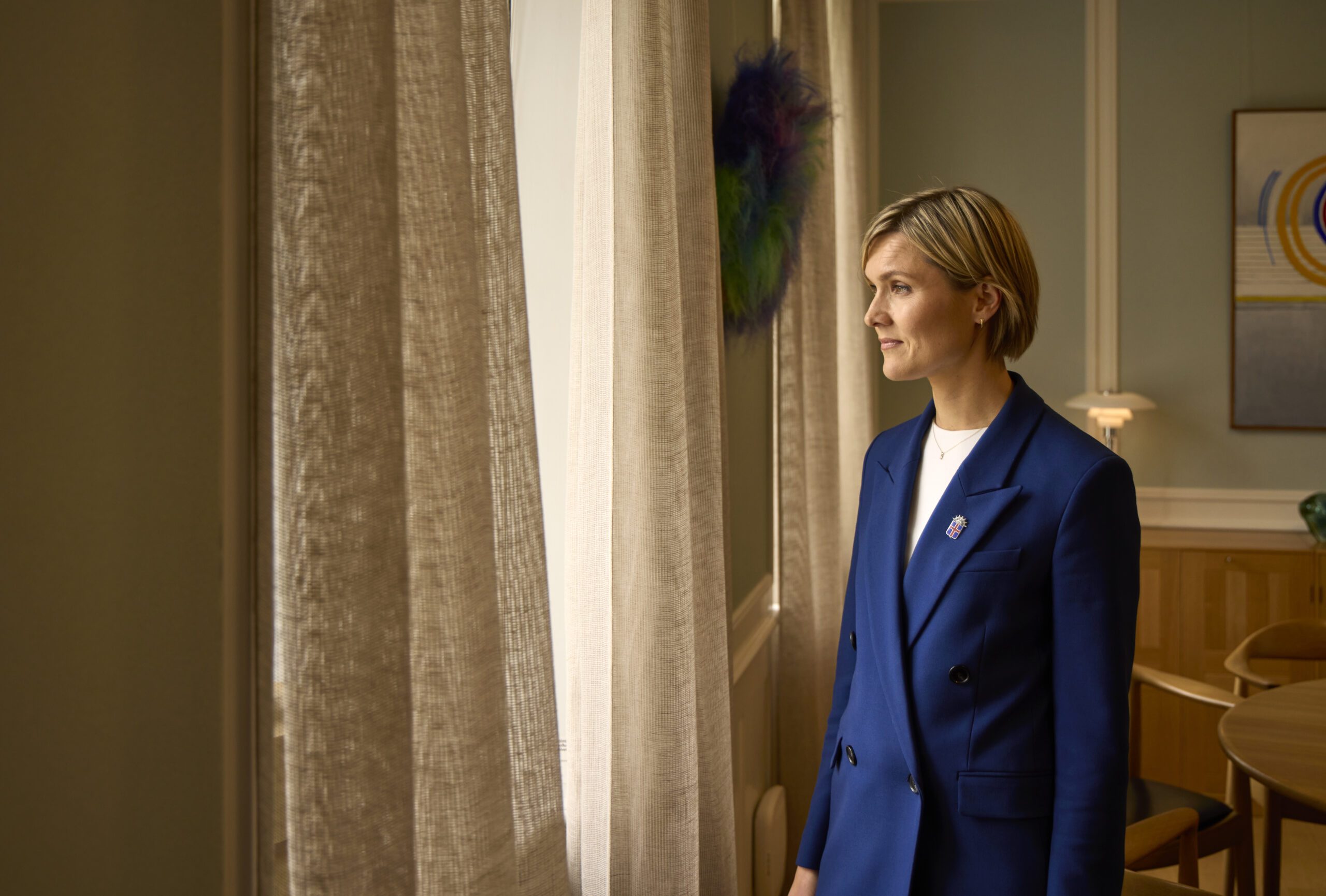 Iceland Won’t Join The EU On Just Any Terms, PM Says