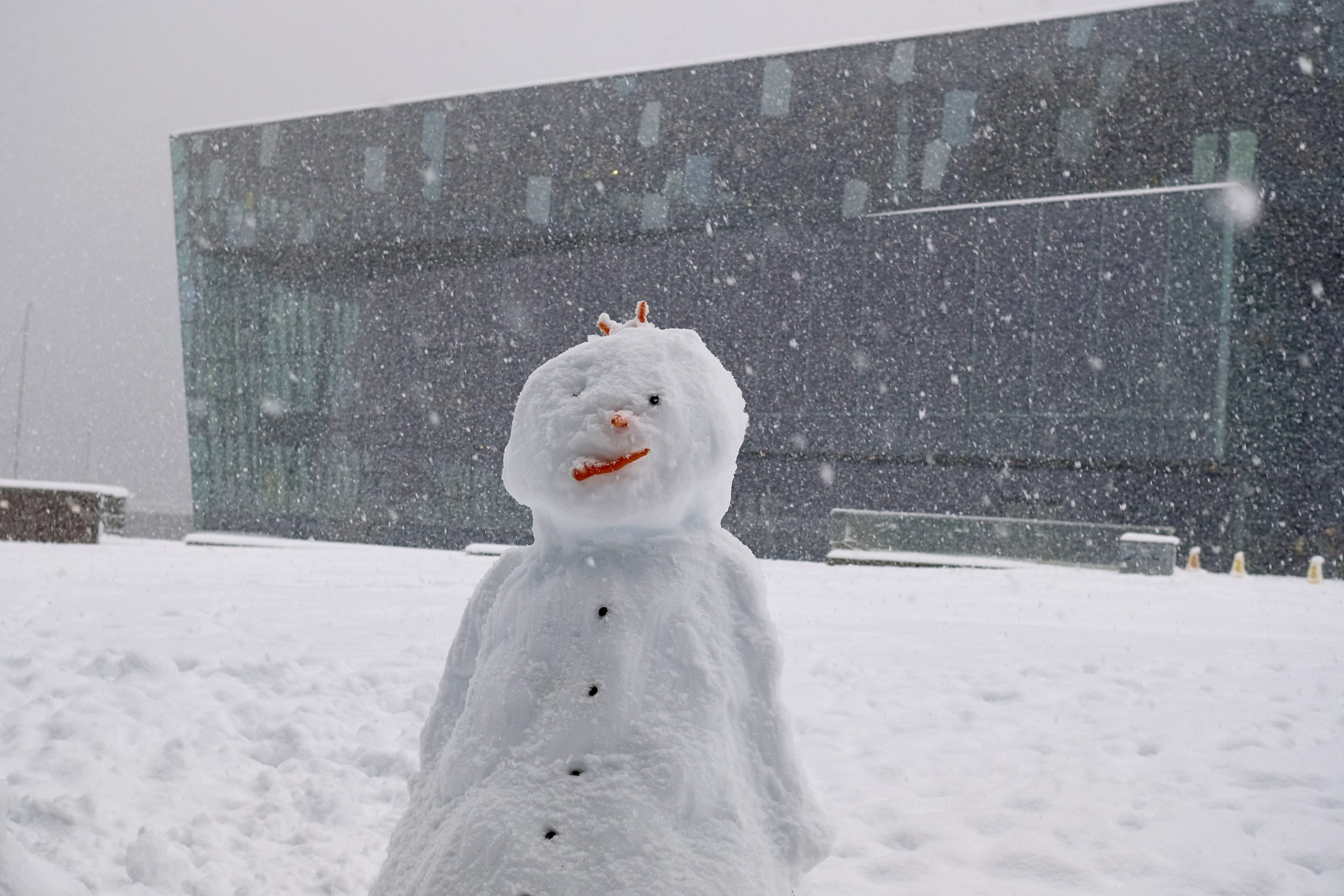 PHOTOS: First Snow In Reykjavík