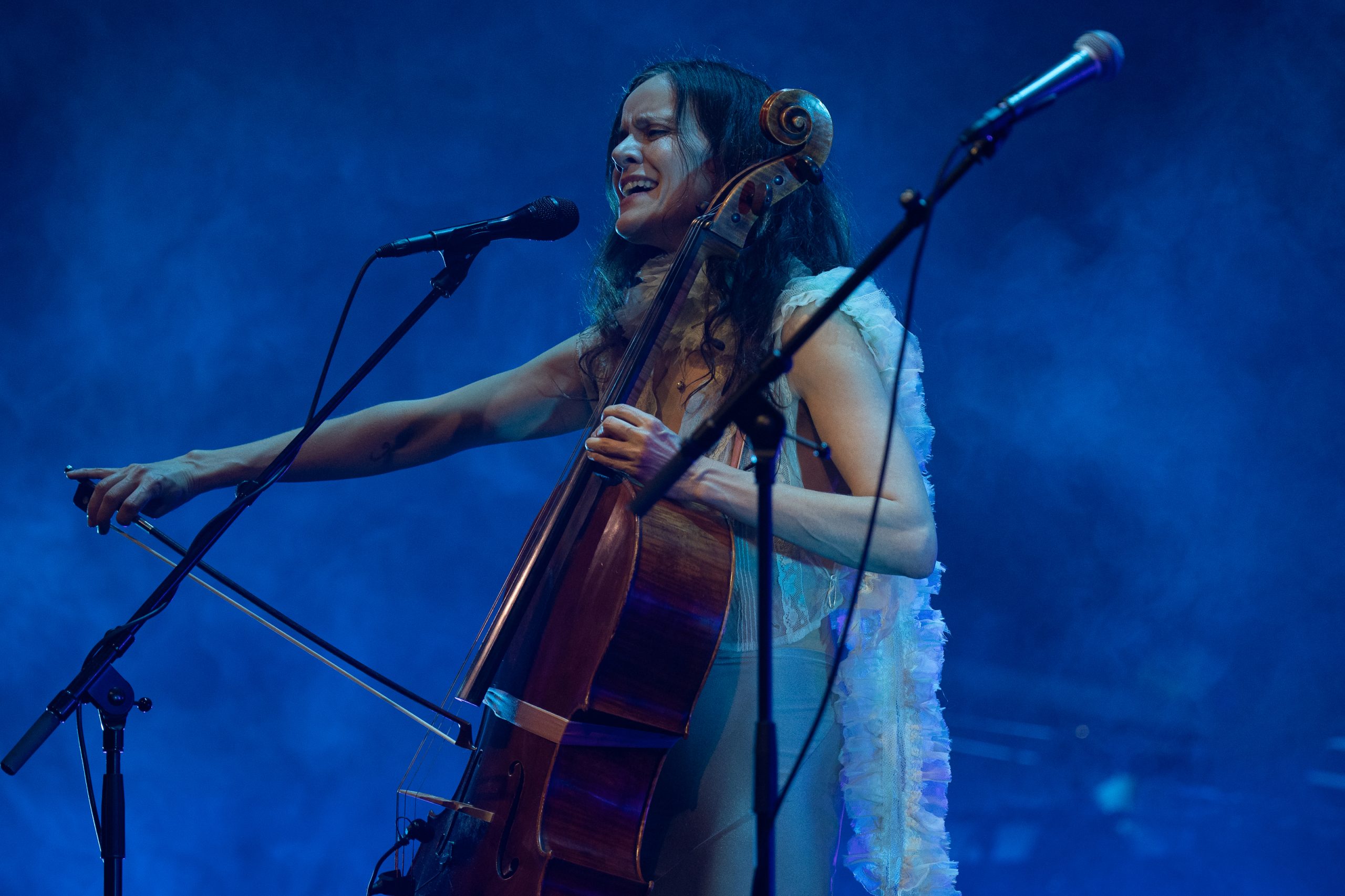 Grapevine New Music Picks: Gyða Valtýsdóttir, Ólöf Arnalds, Andervel & More
