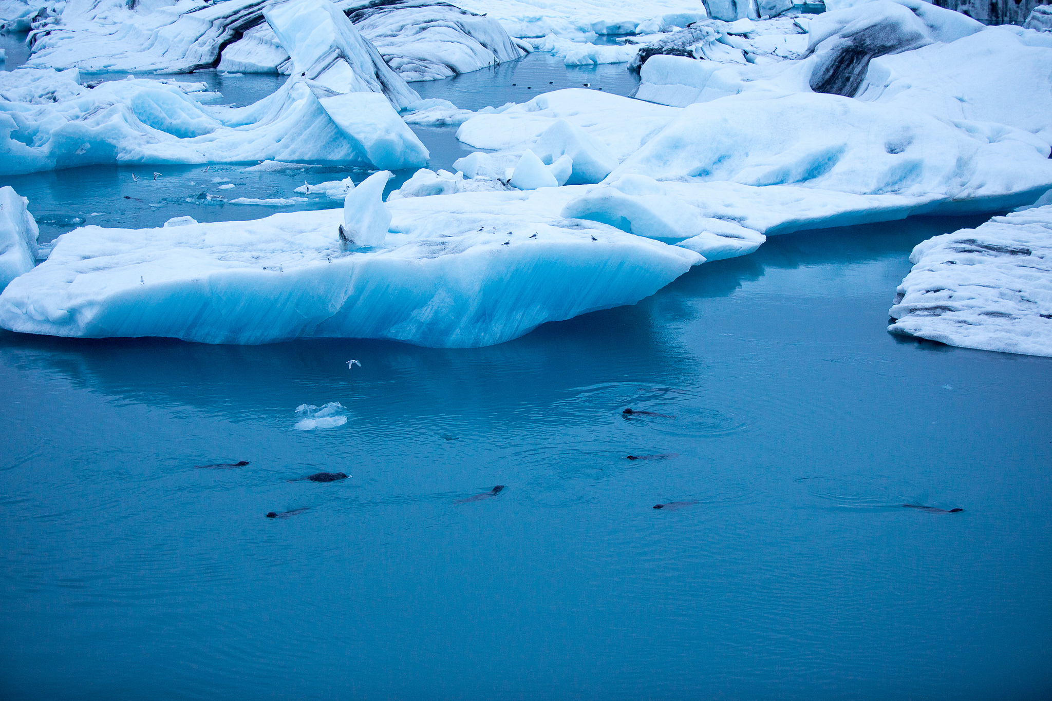 Which Tourist Destinations In Iceland Have Reached Their Tolerance Limit?