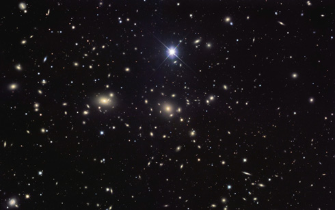 The Coma Cluster: Observation